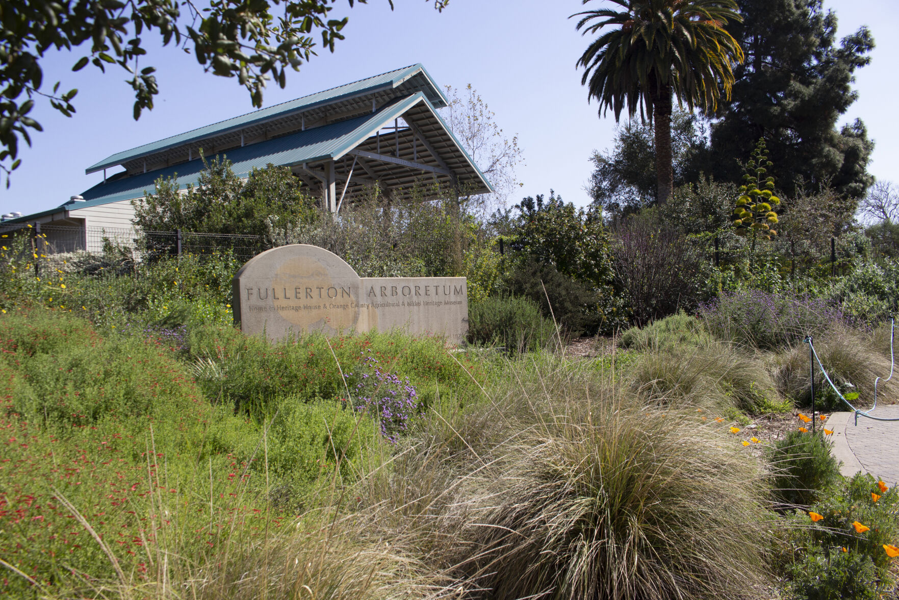 Fullerton Arboretum
